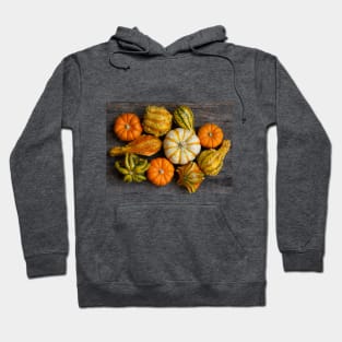 A Cornucopia of Autumn Color Hoodie